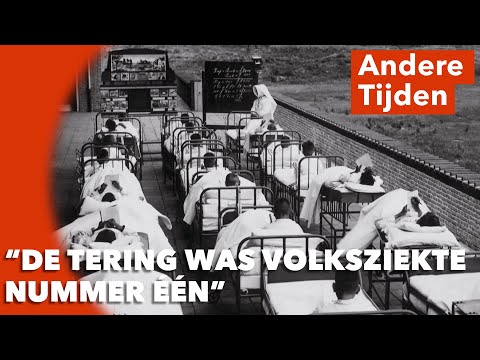 Hoe werd tuberculose uiteindelijk ingedamd in Nederland? | ANDERE TIJDEN