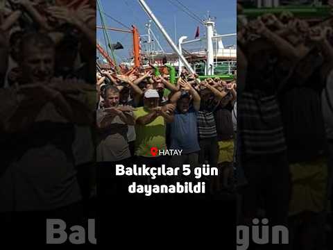 Hataylı balıkçılar 5 gün dayanabildi: 'Bu maliyetlerle denize çıkmak batışı hızlandırıyor'