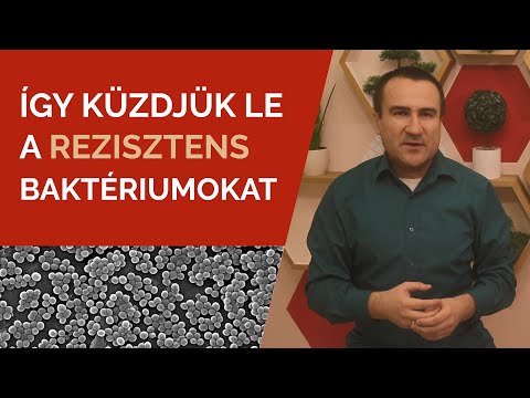 Így küzdjük le a rezisztens baktériumokat
