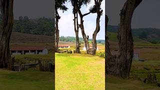 Hunger Ford Estate Ooty #techtravelbyfaizal #ooty #hungerford