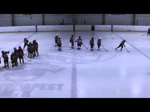 U12 291 Pesterzsébeti HC Dunaújvárosi Acélbikák