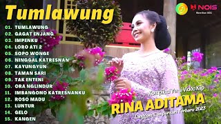 Download lagu RINA ADITAMA - TUMLAWUNG - GAGAT ENJANG | KOMPILASI LANGGAM CAMPURSARI FULL ALBUM TERBARU 2023 mp3