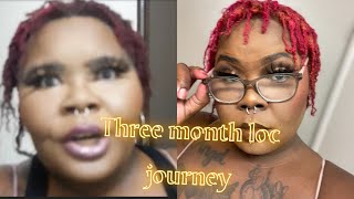 Three month loc journey (pics and videos)