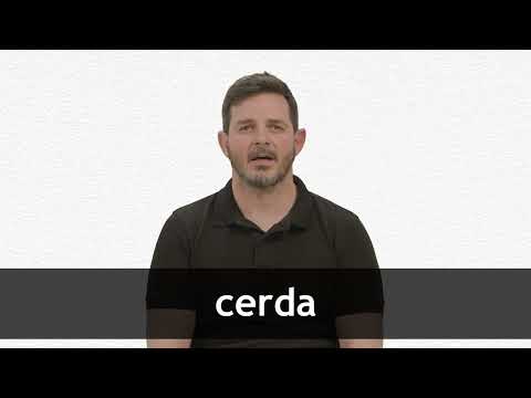How to pronounce CERDA in European Spanish