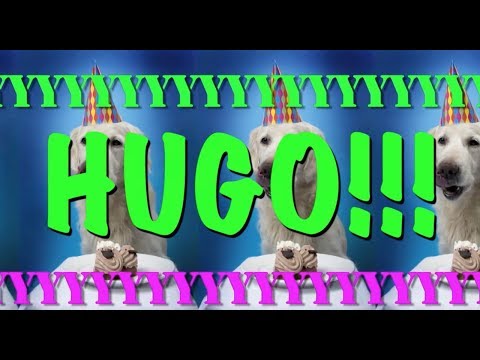 download lagu mp3 mp4 Happy Birthday Hugo, download lagu Happy Birthday Hugo gratis, unduh video klip Happy Birthday Hugo