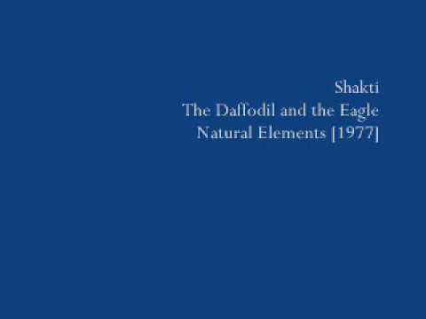 Shakti // The Daffodil and the Eagle