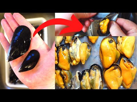 PERFECT Mussels. How to Clean and Cook Them!