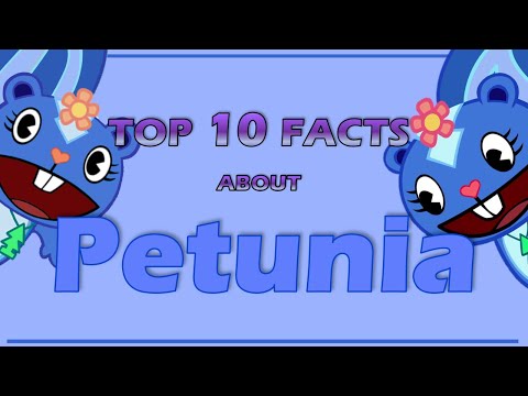 Top 10 Facts About PETUNIA From Happy Tree Friends (Character review)