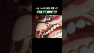 사황 카이도 빅맘을 당황시킨 루피의 미친 해적왕 선언