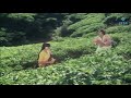 Heero Heero Dts Sound Video Songs