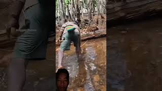 Download lagu #fishing #rivercrab #bass #fish #dj #carpfishing #outdoors #food #carp #duet #satisfying #beach mp3