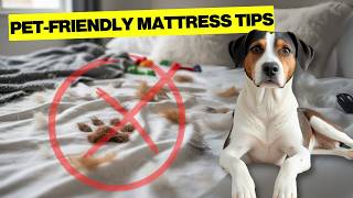 Best Mattress Cleaning Tips for Pet Owners