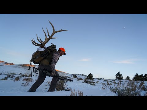 2 Giant Late-Season Bulls Down! | Cold Weather Elk Hunt Success | 4K Film