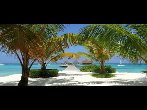 Veselin Tasev - Desire (DelaRed Remix) HD