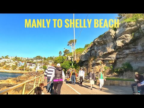 Manly to Shelly Beach Walk Tour