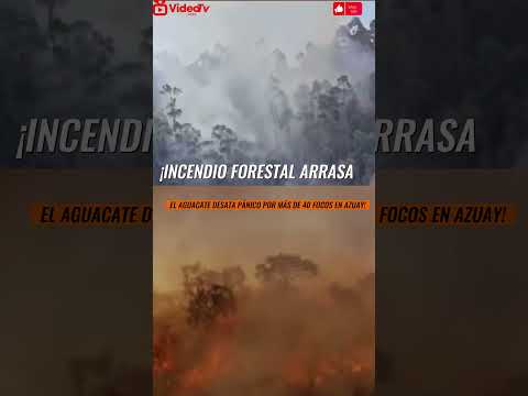 "INCENDIO FORESTAL arrasa EL AGUACATE en CUENCA por MÁS de 40 FOCOS en AZUAY"