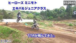 20260426  ヒーローズ R3 ミニモト エキパ＆ジュニアクラス ヒート2　TTRが爆速。