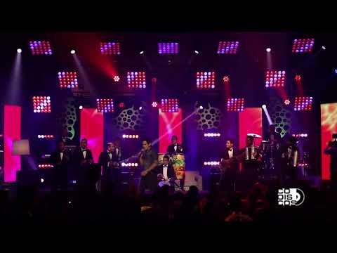 Solo para ti - Alejandro Palacio