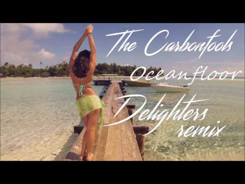 The Carbonfools - Oceanfloor (Delighters Remix)