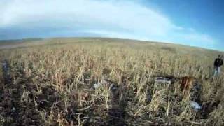 preview picture of video 'January 2012 Quail Run Hunt, Kiowa, Colorado - Part 2'
