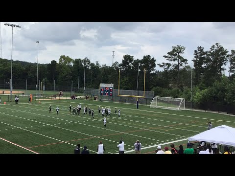 TwinSportsTV LIVESTREAM: Dacula Falcons vs Grayson Rams 9U 4th QTR Game