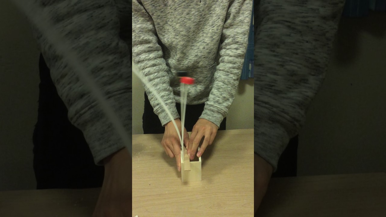 Single degree of freedom system motion