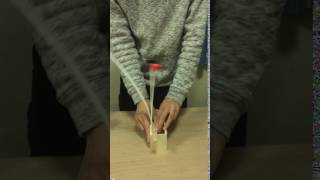 Single degree of freedom system motion