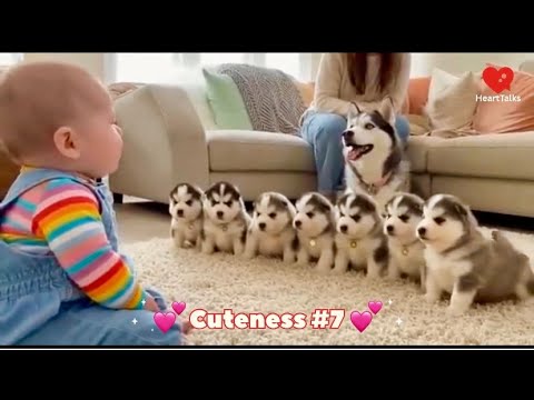 Cute Baby & Dog Funny Moments Compilation - Husky, Labrador Puppies Reactions | Try Not To Laugh!🇺🇸😂