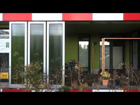 Inselflimmern - Algenhaus