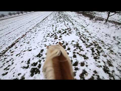 Auf dem Rücken der Pferde . . .