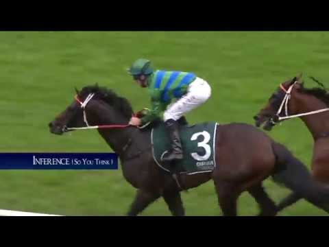 Coolmore Australia - Raised & Grazed