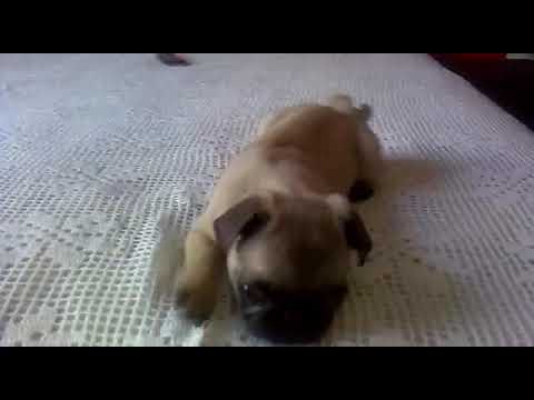 ZARINA CUANDO ERA BEBÉ