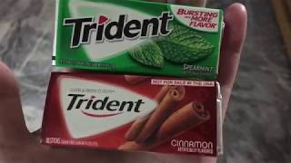 Trident Sugar Free Gum Cinnamon review