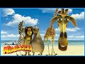 Meet The Gang DreamWorks Madagascar