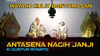Download lagu LIVE REC. Wayang Kulit Banyumasan || Dalang Ki Guntur Riyanto Cilacap Lakon Antasena Nagih Janji mp3