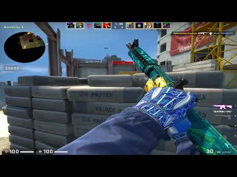 POV: Vitality ZywOo 31 Kills w/ apEX, Magisk, Spinx & Zonic vs FACEIT LVL 10