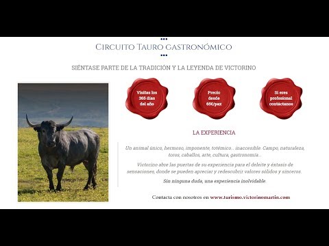 Así se han embarcado los Toros a Castellón