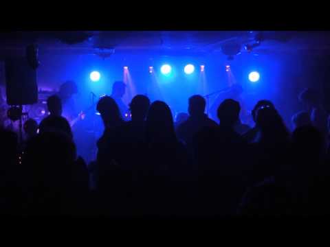 06-Run for the roses