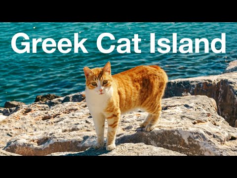 I went to Greece's Cat Island Hydra