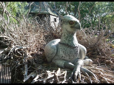 Flight of the Hippogriff POV at Wizarding World of Harry Potter