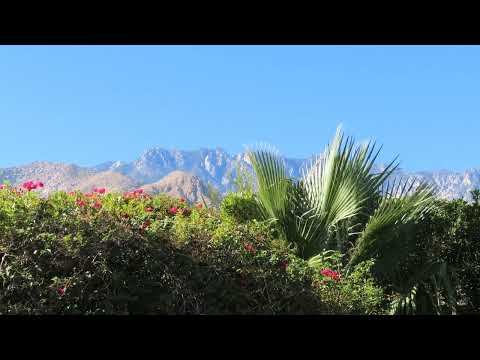 Bella Vista - new song on Pipe Organ Keys - Enjoy! - Steven Sunn