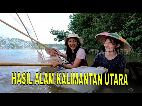 [FULL] HASIL ALAM KALIMANTAN UTARA | JEJAK PETUALANG (30/01/24)
