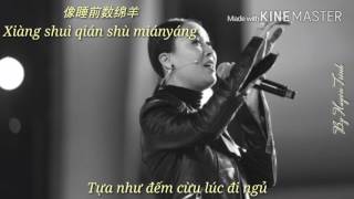 [Vietsub - Pinyin] Yêu Anh Giống Như Yêu Kẻ Thù - Na Anh | 爱你爱的像个敌人 - 那英 Love You As A Enemy