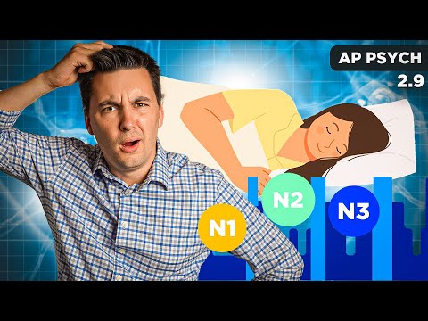 Sleep Cycle, Dreams, & Sleep Disorders [AP Psychology Unit 2 Topic 9]