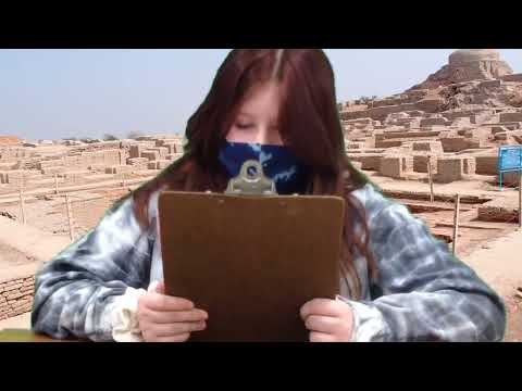 Lulu Crane’s News reel