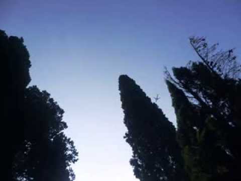 Omaggio a Rino Gaetano - ottobre 2013