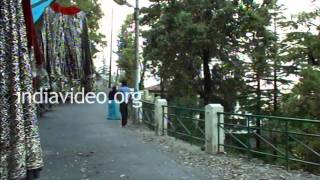 Camel Back Road, Mussoorie