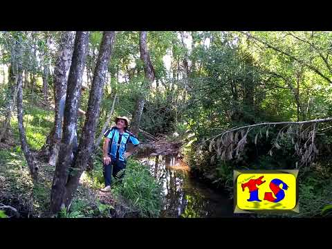 Tio e Sobrinho - Piadas de Sogras