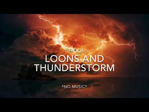 1 Hour LOONS And Thunderstorm - Loon Calls For Relaxing; *No Music*
