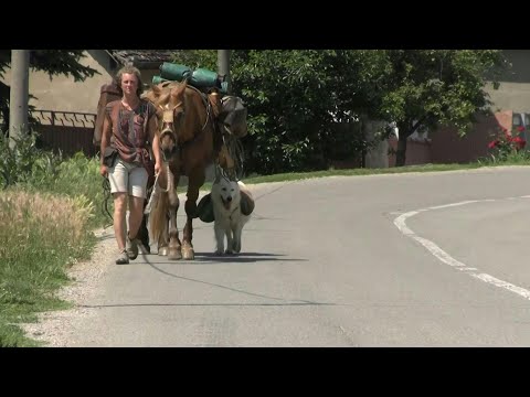 Zu Fuß durch Europa - mit Pferden und Hund | AFP